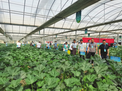 種業(yè)攻關(guān) 促進(jìn)發(fā)展