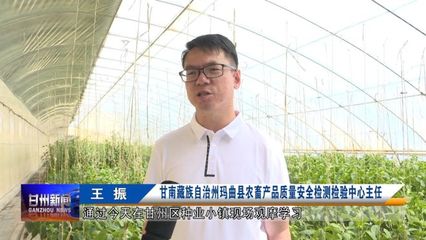 全省農業(yè)社會化服務現場推進會與會人員在我區(qū)觀摩