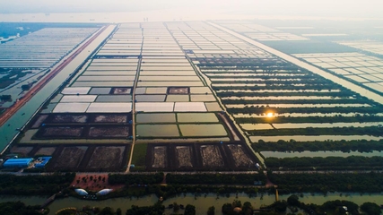 南沙種業(yè)企業(yè)創(chuàng)佳績,兩項(xiàng)目入選&ldquo;智威杯&rdquo;決賽