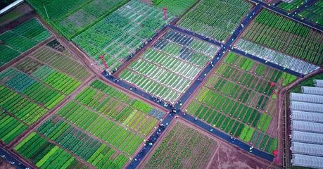 2019中國(guó)云南蔬菜種業(yè)博覽會(huì) 開(kāi)啟種業(yè)新篇章