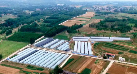 山東宇泰生物種業(yè) 聚焦種業(yè)創(chuàng)新，助力農(nóng)業(yè)強(qiáng)國建設(shè)